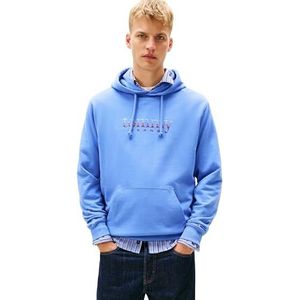Tommy Jeans Sweatshirt  hemelsblauw / lichtblauw / donkerlila / rood