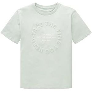 TOM TAILOR Jongens T-shirt 1035897, 12124 - Vintage Mint, 128