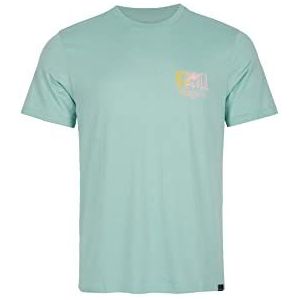 O'NEILL Tees Storm T-shirt met korte mouwen voor heren, verpakking van 2 stuks