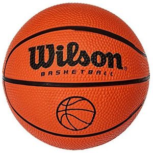 Microfoon Wilson Basketbal bal