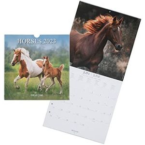 Drager Paris | Wandkalender decoratie paarden 2023 om op te hangen, 29 x 29 cm, 16 maanden, sept 22 tot december 23, 7 talen, kalender, kantoor, keuken, maandhuis, plantaardige inkt,