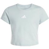 adidas Niñas ESSENTIALS LOGO T-SHIRT, Wonder Sage/white, 5-6 Years