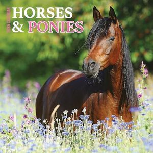 Paarden & Pony's 2025 Kalender