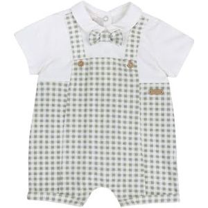 Chicco romper, Groen bedrukt, 9 Maanden