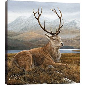 Tree-Free Greetings EcoArt Home Decor Wandplaat, 11,25 x 11,25 inch, klassieke Elk thema Wildlife Art (85704), 11,6 inch