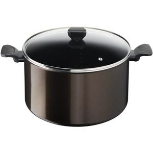 Tefal Kookpan 30 cm (12,2 l) + glazen deksel, voor alle warmtebronnen behalve inductie, antiaanbaklaag, gemaakt in Frankrijk, Easy Cook & Clean B5546902, N/C