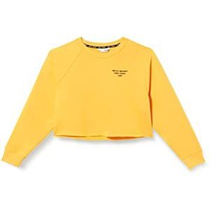 DKNY SPORT Dames HD Mini Logo Cropped Pullover Dames Shirt, Marigold., 34 NL