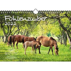 Seelenzauber Veulen Magie DIN A4 Kalender Voor 2022 Paarden en Veulens
