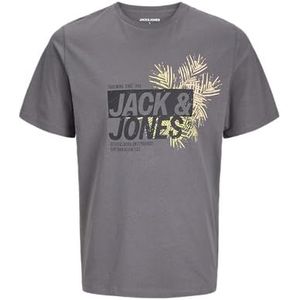 Jack & Jones - Jjjaxon Tee - T-shirt - Grijs - Korte Mouwen - Ronde Hals