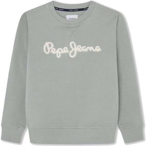 Pepe Jeans Nieuw Lamonty Crew Sweatshirt voor jongens, Groen (Leaf Green), 12 jaar