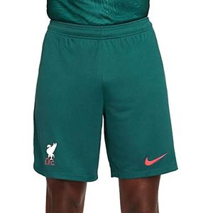 Nike Herenshorts, seizoen 2022/23, officiële derde tricot kit