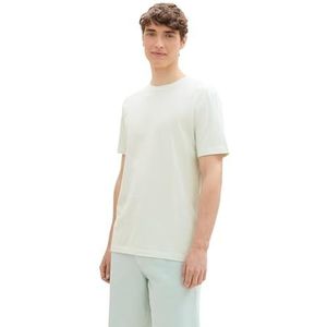 TOM TAILOR Denim Heren T-shirt met strepenpatroon, 35576 - Light Blue Melange Fine Stripe, XL