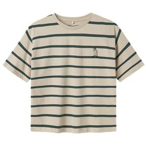 NAME IT Nkmlavon Ss RLX Top, Peyote, 122-128