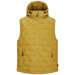 JACK&JONES JCOSONIC Bodywarmer herenvest, gouden palm, S, Gouden palm, S