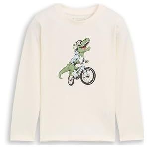 TOM TAILOR Kinder-T-shirt met lange mouwen, 12906 - Wool White, 92-98