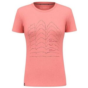 Salewa Unisex Pure Skyline Dry W T-shirt. T-Shirt