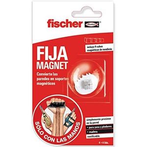 Fischer - Sclm Fijamagnet / 4-delige blister 548833