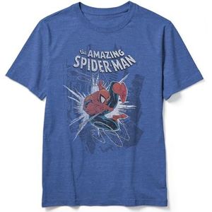 Marvel Boys' Big Amazing Spider-Man T-Shirt