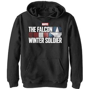 Marvel Falcon und der Winter Soldier Falcon & Ws Hoodie, zwart, S, zwart, S, zwart, S