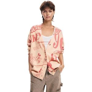 JERS_Walt Disney, 3049 ROSA, S, rood, S