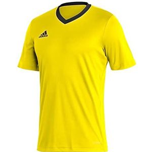 adidas, Entrada22, Voetbal T-shirt, Team Geel/Zwart, M, Man