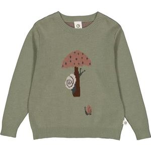 Müsli by Green Cotton Botany Knit Pullover Sweater voor meisjes, Poetry Green, 116