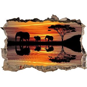 Pixxprint 3D_WD_5301_62x42 Afrika olifant in zonneschijn muurdoorbraak 3D muurtattoo, vinyl, zwart/wit, 62 x 42 x 0,02 cm