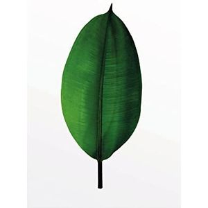 Ficus Leaf - Grootte: 50 x 70 cm - Komar, muurschildering, posters, kunstdruk (zonder lijst), PURE Boutique