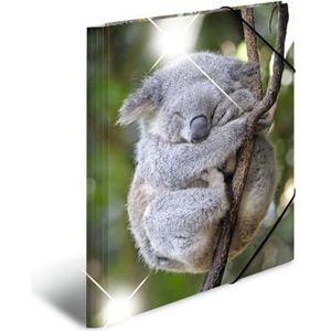 HERMA 19333 verzamelmap DIN A3 dieren koala, set van 3 stevige kunststof, opbergmap met hoogglans-effect, bedrukte binnenkleppen en elastiek, documentenmap voor kinderen, jongens en meisjes