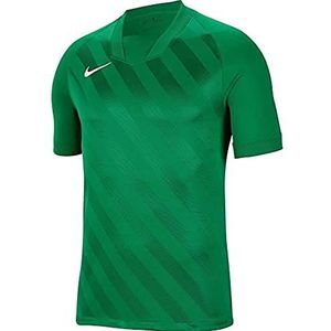 Nike Kinder Challenge III Jersey SS shirt, Pine Green/Pine Green/(White), L