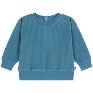 Petit Bateau A08RB sweatshirt, blauw polochon, 18 maanden jongen, Blauwe polochon, 18 mesi