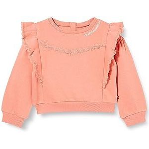 Levi's Lvg Crew met ruches voor babymeisjes 1ej245 sweatshirts, Terra Cotta, 3 jaar