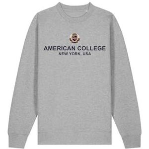 AMERICAN COLLEGE USA JOGGING SET HEREN GRIJS MAAT M DECONTRACTE, Grijs, M