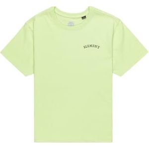Element Firewater SS Y T-shirt voor kinderen, letter groen, 14 Jaren