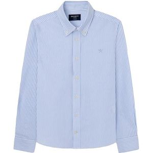 Hackett London Oxford gestreept overhemd voor jongens, Wit (wit/blauw), 13 jaar