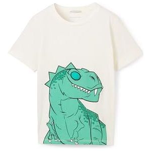 TOM TAILOR T-shirt voor jongens, 12906 - Wool White, 104/110 cm