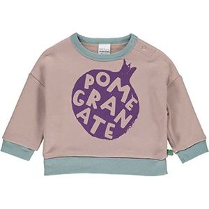 Fred's World by Green Cotton Baby-jongens Veggie sweatshirt, roséhout., 98 cm