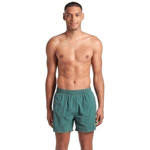Arena Bywayx R zwemshorts voor heren, Mangrove-Artic Lime, 3XL