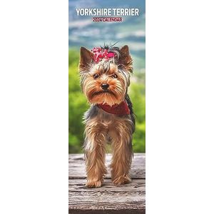Yorkshire Terrier Slim 2024 kalender