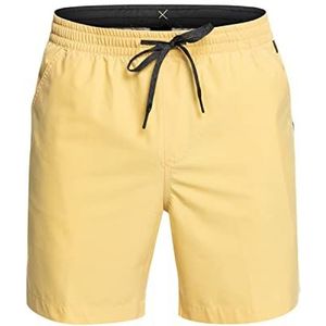 Quiksilver Heren Taxer Amphibian 18 Boardshorts (1 stuk)