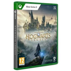 Videogioco Warner Hogwarts Legacy