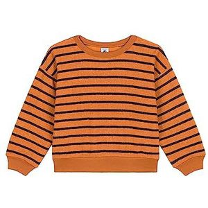 Petit Bateau Sweatshirt voor meisjes, Eekhoorn bruin/smoking blauw, 10 Jaar