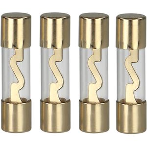 AGU Zekering 10 Ampere  4 Stuks in Blister
