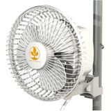 Secret Jardin Monkey Fan 18cm 2 standen -  MF16