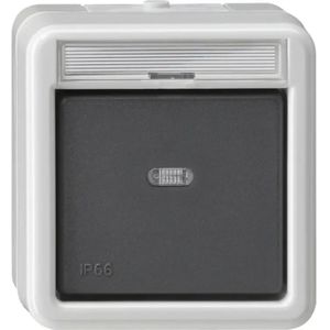 Gira drukcontact maakcontact 1-polig met apart meldcontact opbouw IP66 - 015231