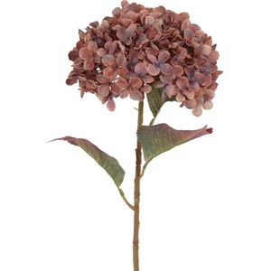 Countryfield Kunstbloem Aletta Hydrangea L Koper 22x22x70cm bruin Kunststof Countryfield Kunstbloem