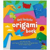 Deltas Het Leukste Origamiboek Deltas