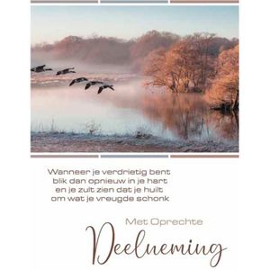 Wenskaarten met Oprechte Deelneming pakje a 10 stuks met envelop multi Karton Merkloos Wenskaart