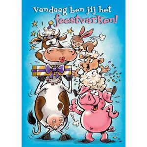 Wenskaarten Gefeliciteerd verjaardag humor kind pakje a 10 stuks met envelop multi Karton Merkloos Wenskaart