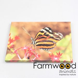 Buitenschilderij Vlinder 30x40cm bruin Canvas Farmwood Animals Schilderij (40.0000cm x 30.0000cm)